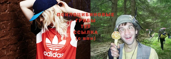 амфетамин Алексеевка