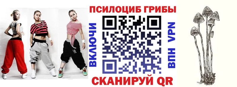 Псилоцибиновые грибы ЛСД  наркотики  мега tor  Черноголовка 